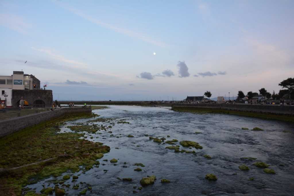DSC_5650Mittel_.JPG